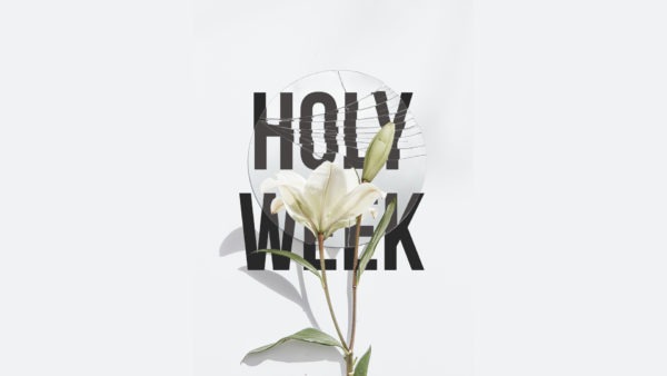 Palm Sunday // In Remembrance of Her Image